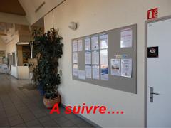 183 HYERES ET SES PALMIERS D13_000057